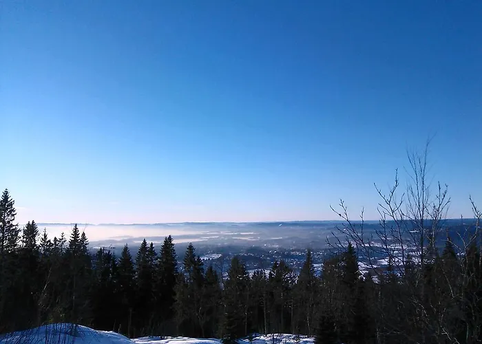 Hotel Soria Moria 4*